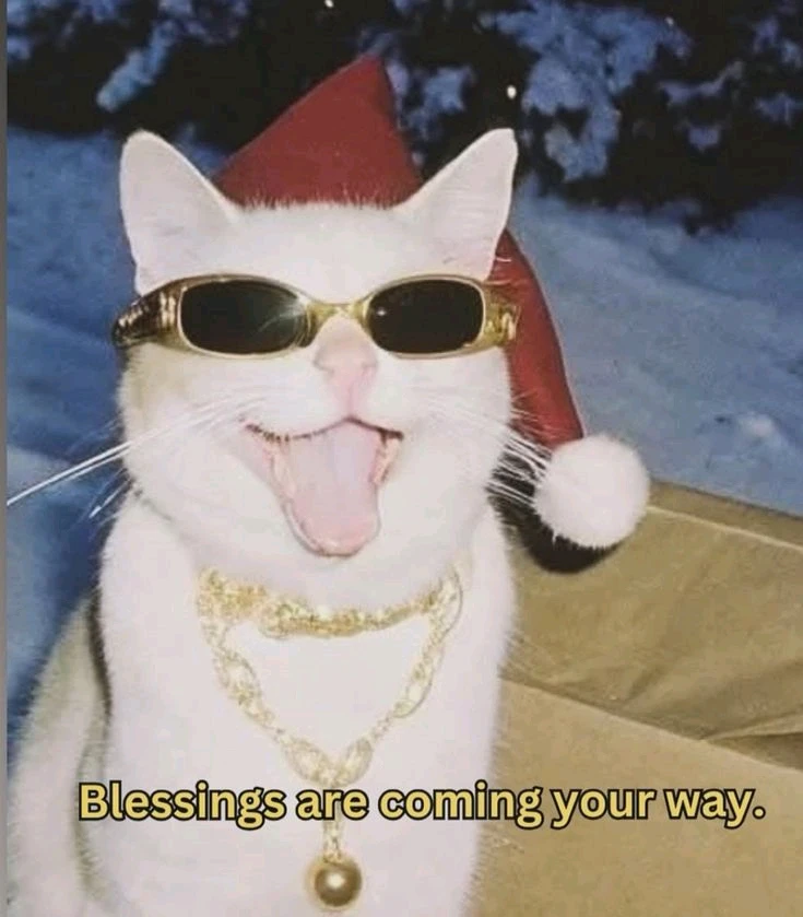 GIF uploaded by JULIETTE