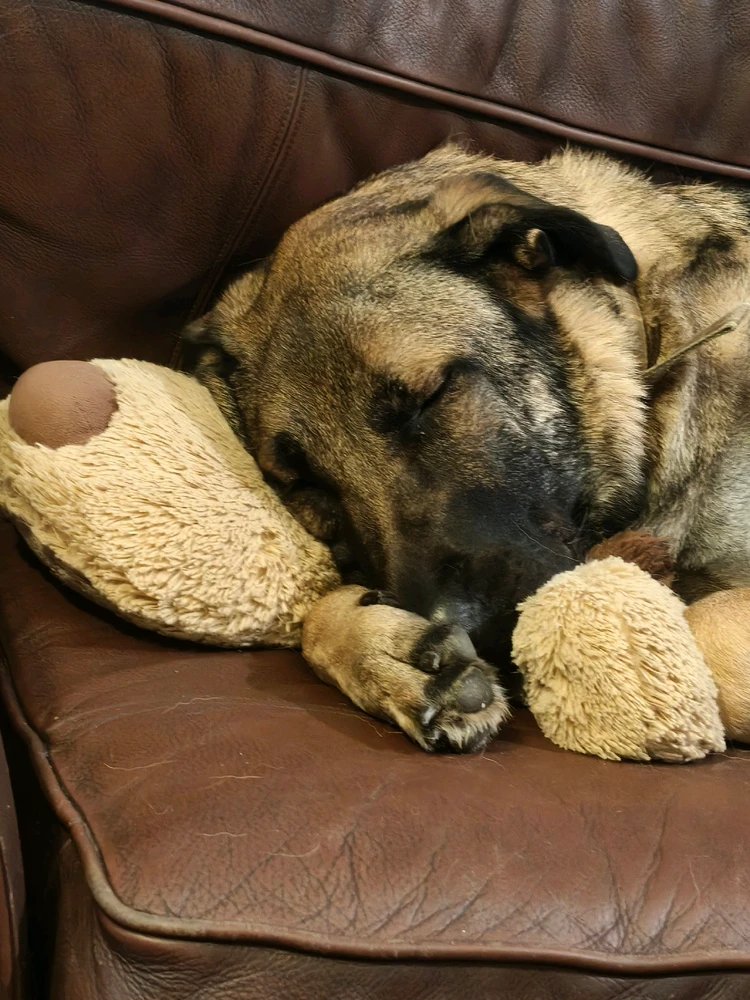 Image uploaded by Lewis