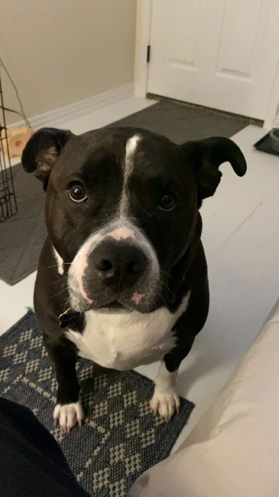 Image uploaded by Michael