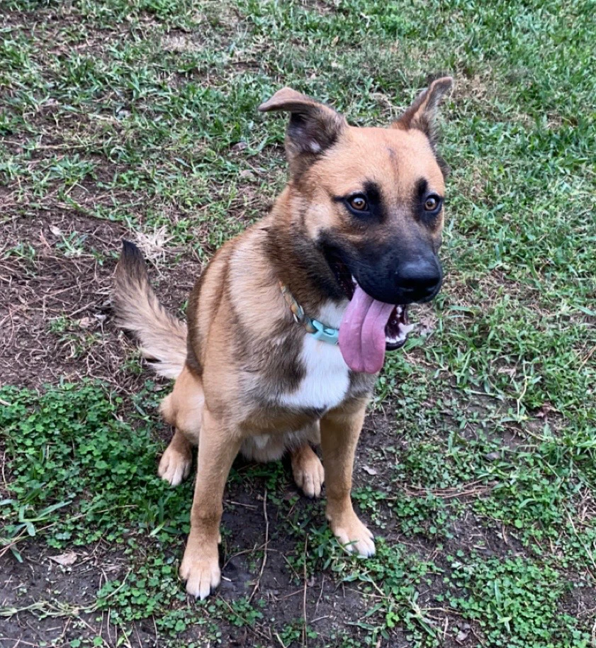 Image uploaded by Michael