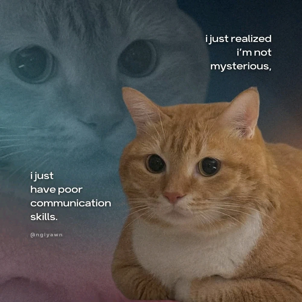 GIF uploaded by Shiri 쉬린 💜