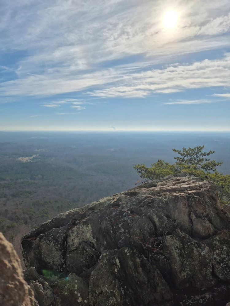 GIF uploaded by Nick