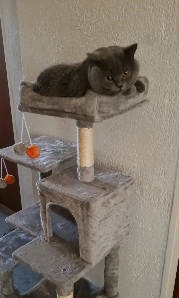 GIF hochgeladen von Patrick