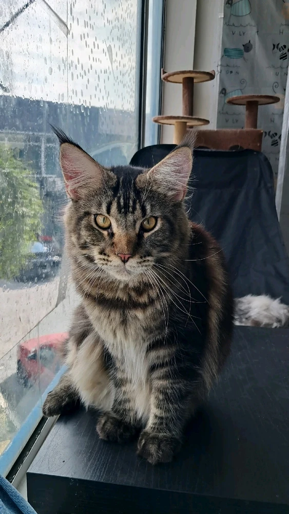 Image uploaded by Aly