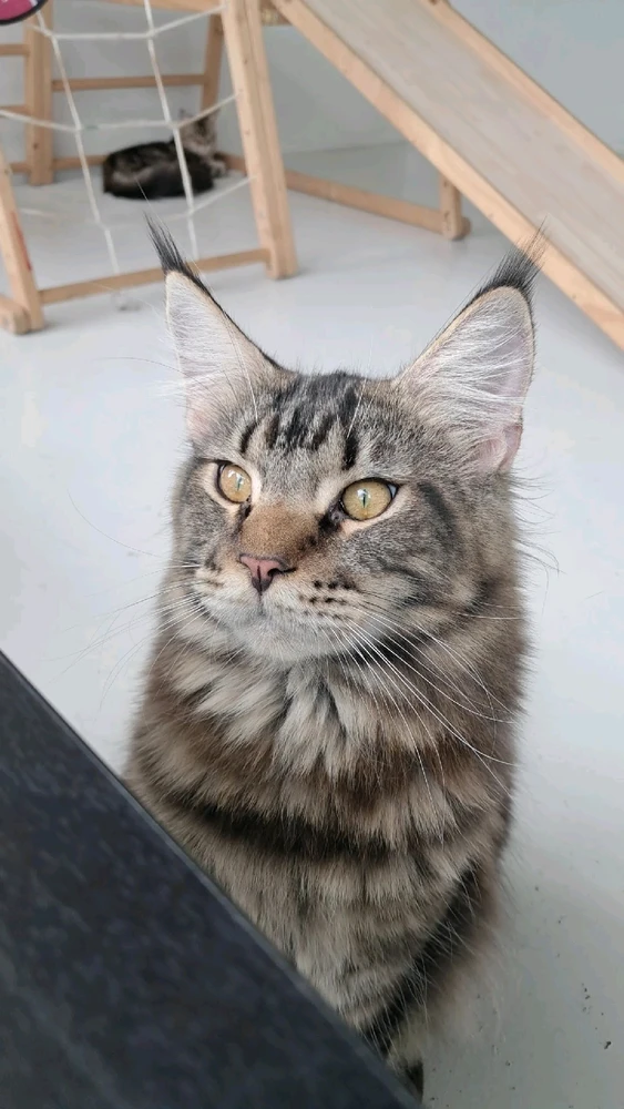 Image uploaded by Aly