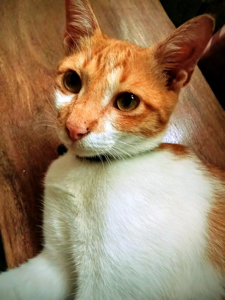 GIF uploaded by Ellië