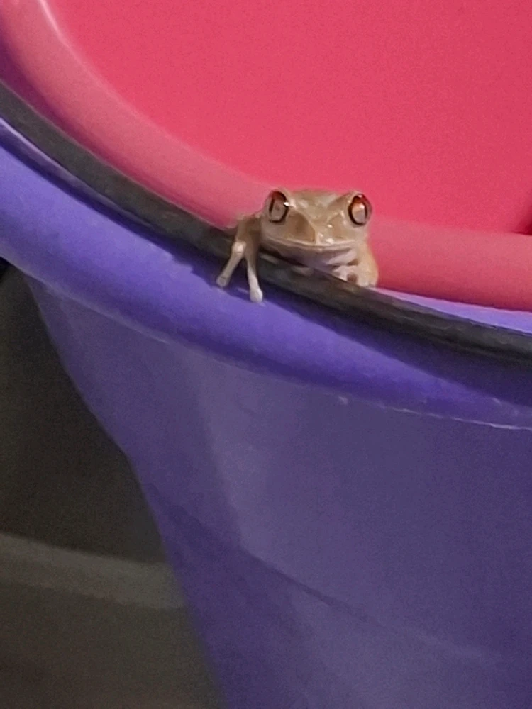 Image uploaded by Misaki