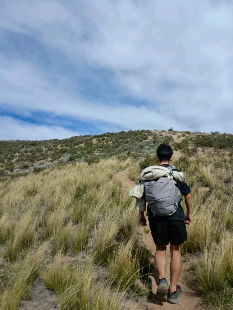 Imagen subida por Arístides