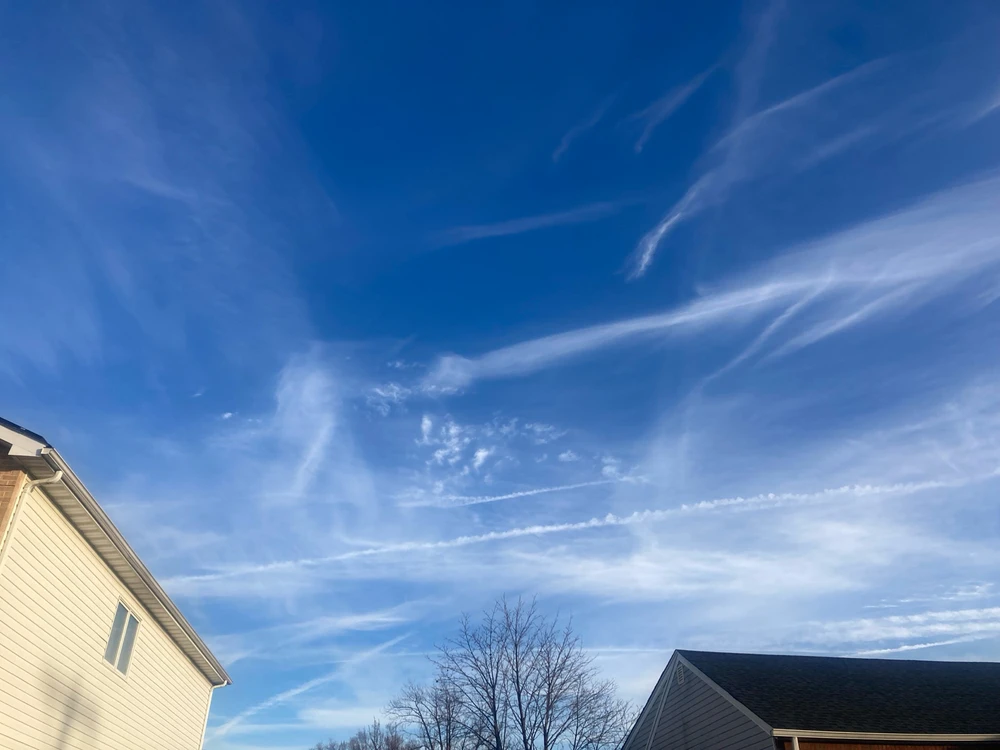 GIF uploaded by Dominick