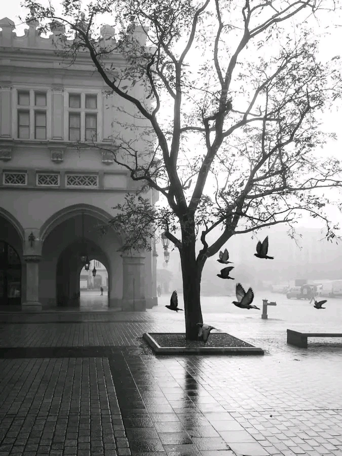 GIF uploaded by Лука