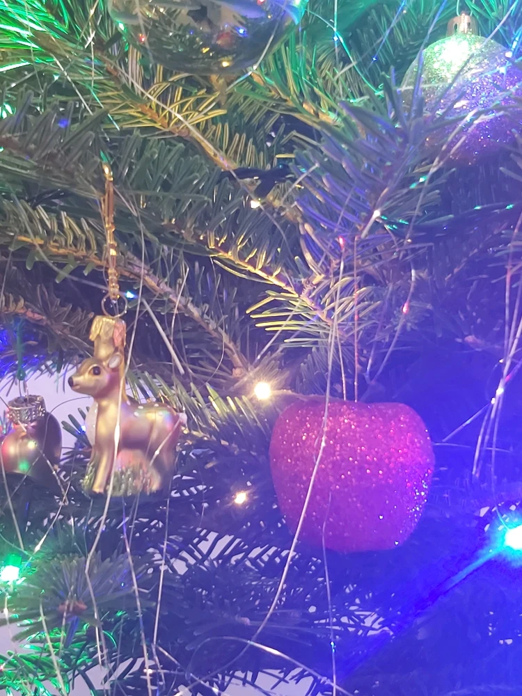 Image uploaded by Alicja