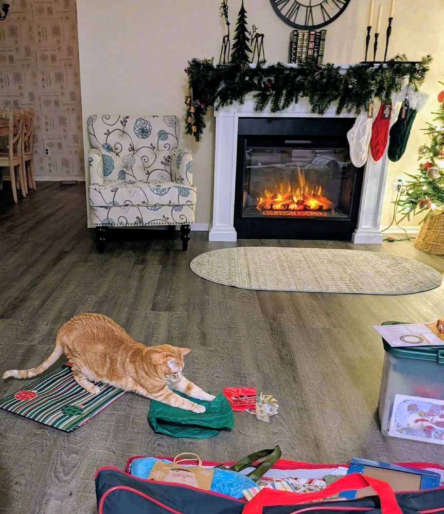 Image uploaded by Melissa