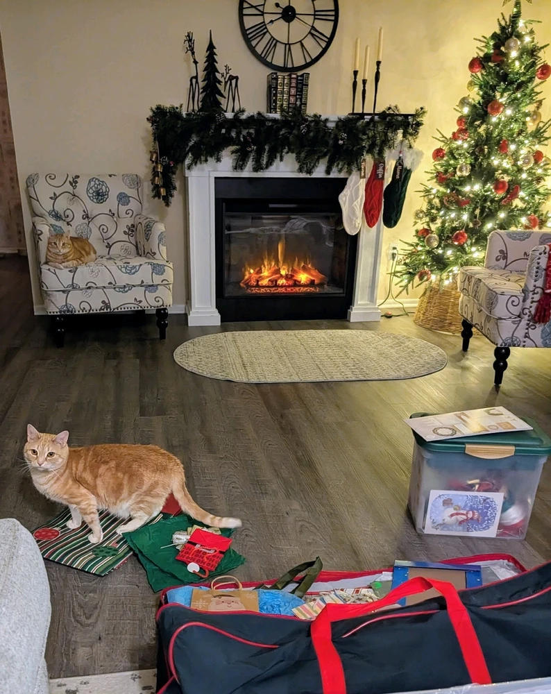 Image uploaded by Melissa