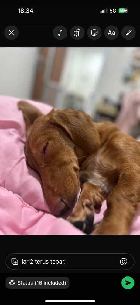 GIF uploaded by Dyah N