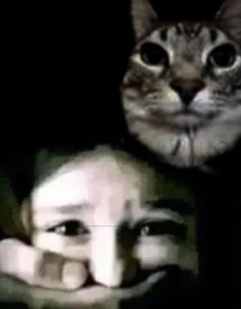 Image uploaded by Luna