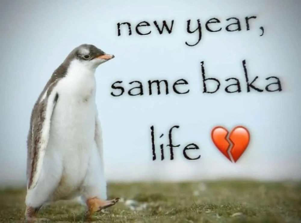 Image uploaded by Luna