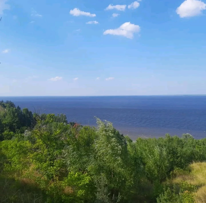 Зображення завантажив Макс