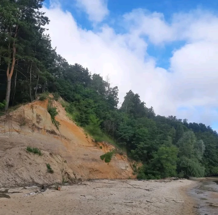 Зображення завантажив Макс