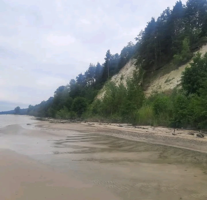 Зображення завантажив Макс