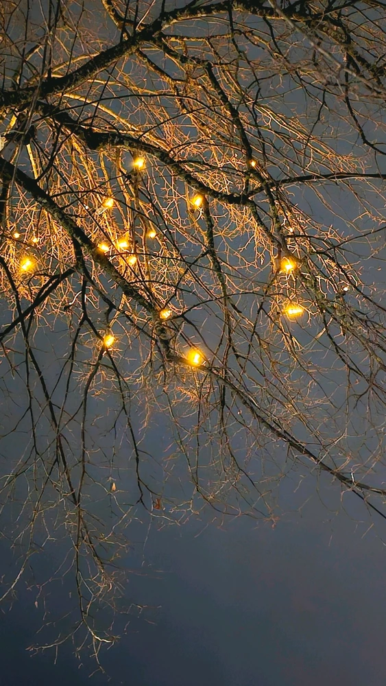 GIF hochgeladen von Susi