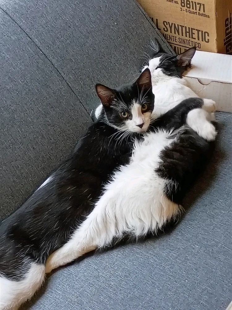 Image uploaded by Jenn