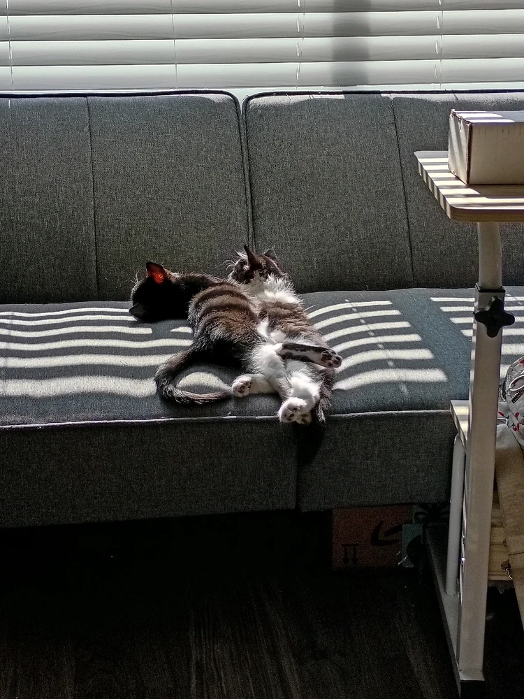 Image uploaded by Jenn