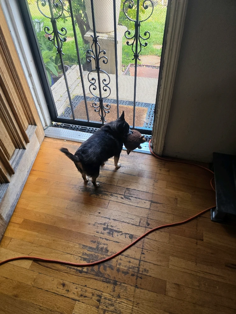 Image uploaded by William