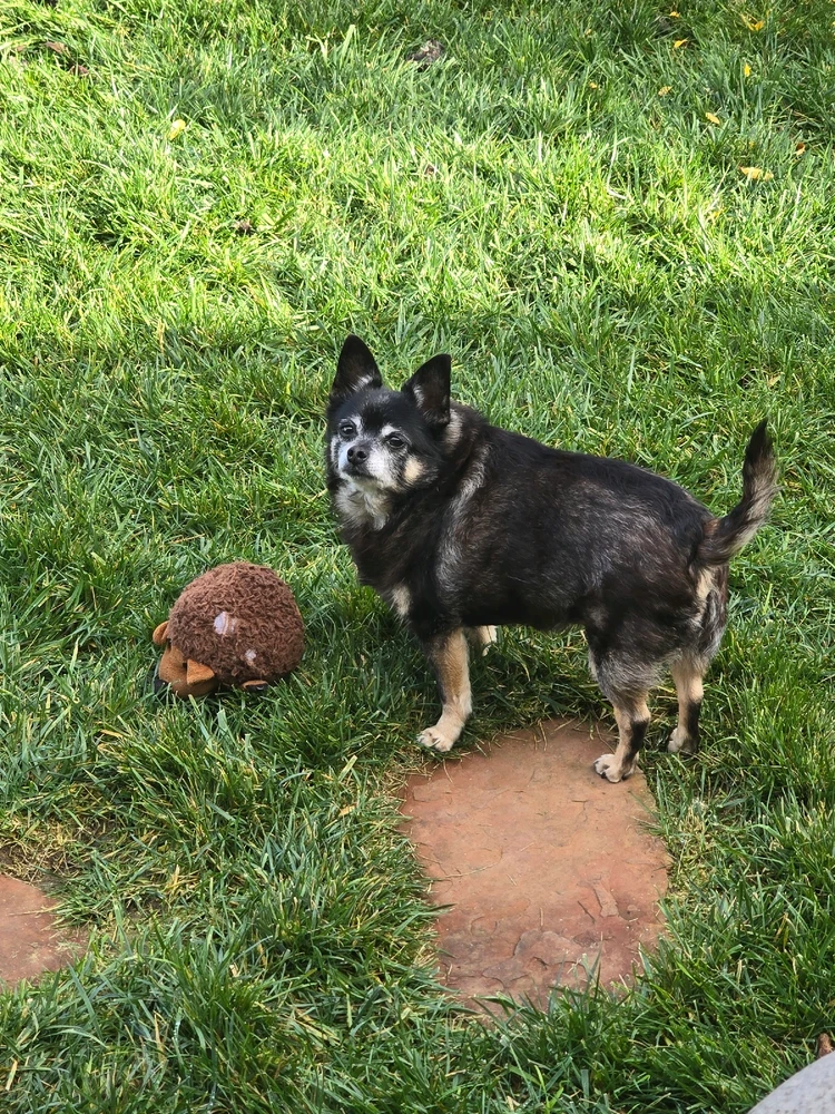 Image uploaded by William