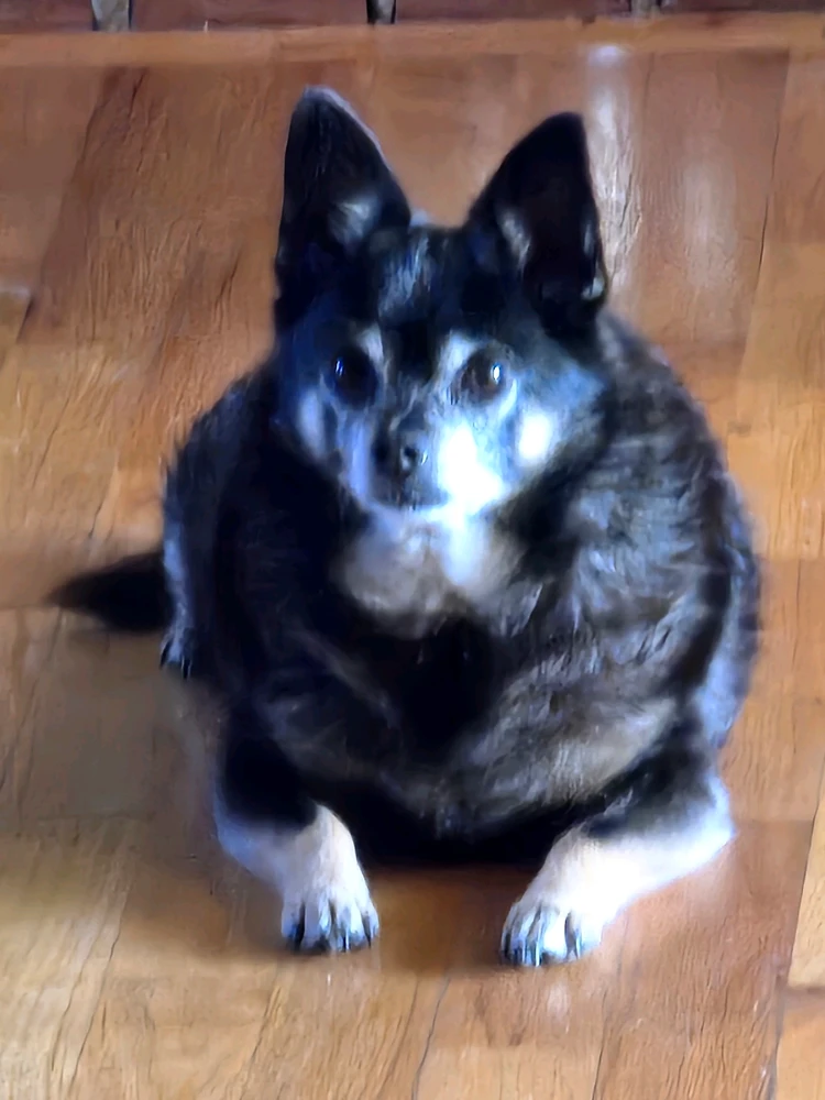 GIF uploaded by William