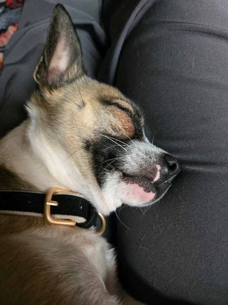 GIF uploaded by gabriella