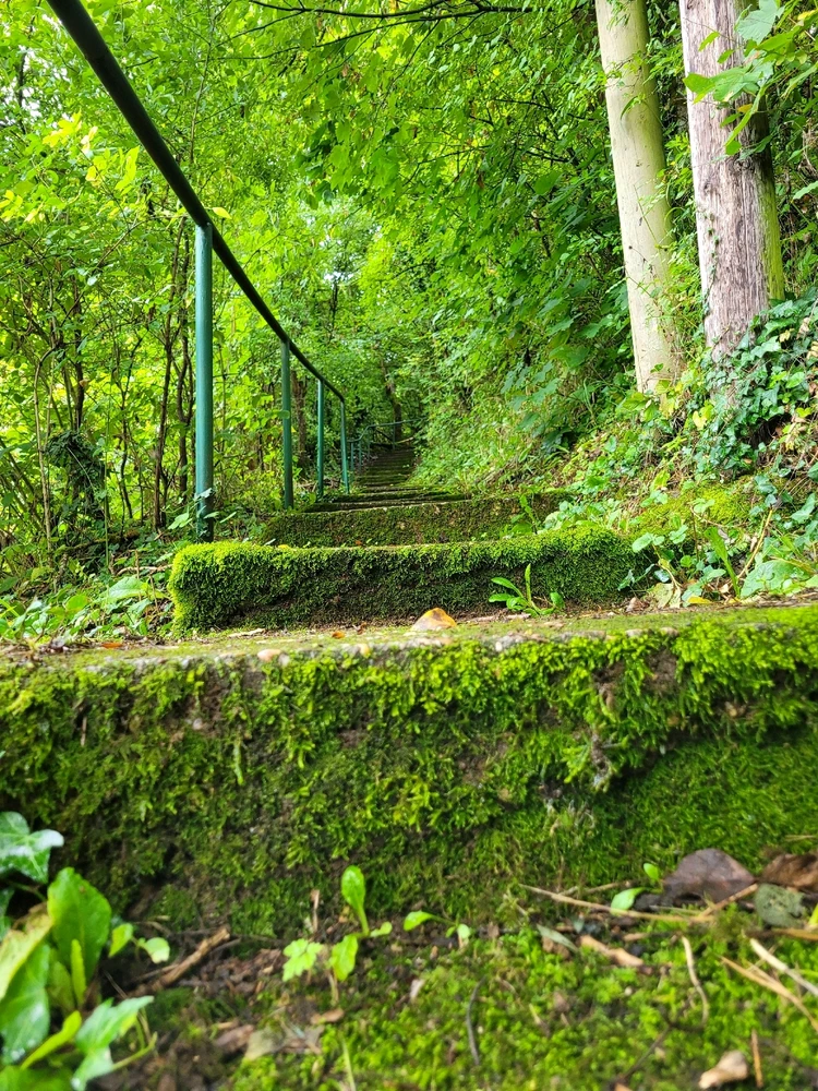 GIF ajouté par Emeric