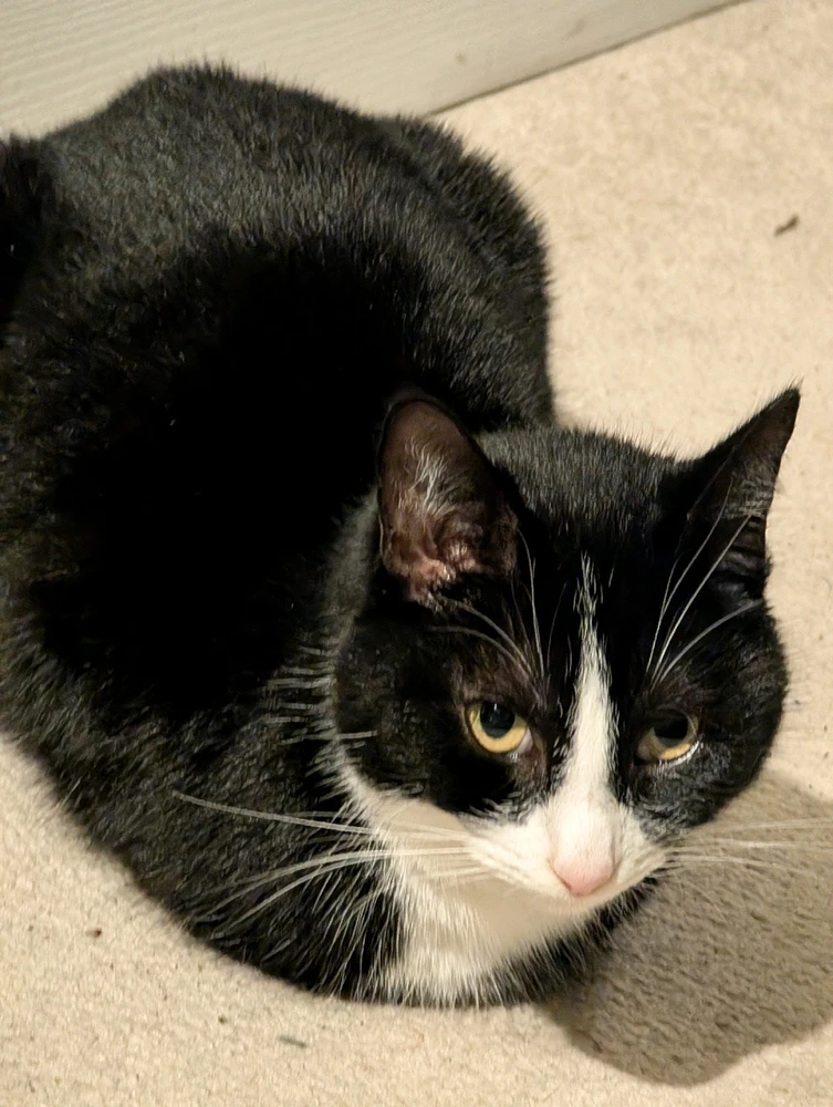 GIF uploaded by Andy