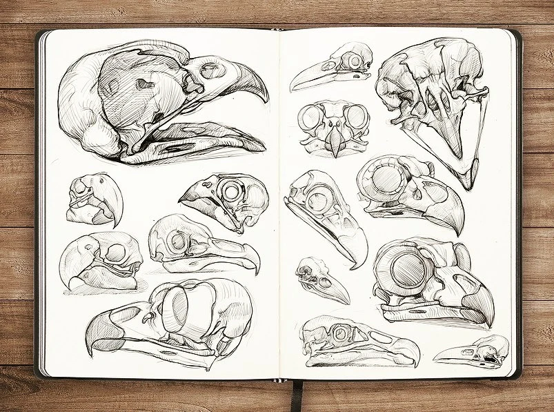 Zdjęcie dodane przez LoneWolf