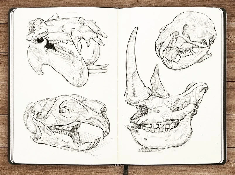 Zdjęcie dodane przez LoneWolf