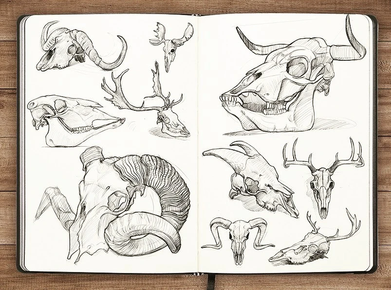 Zdjęcie dodane przez LoneWolf