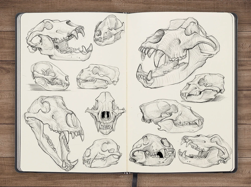 Zdjęcie dodane przez LoneWolf