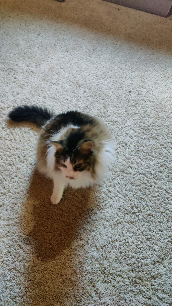 GIF uploaded by Billy