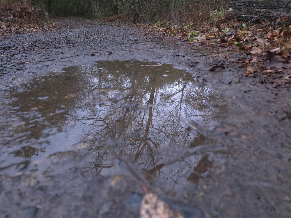 GIF uploaded by Adam