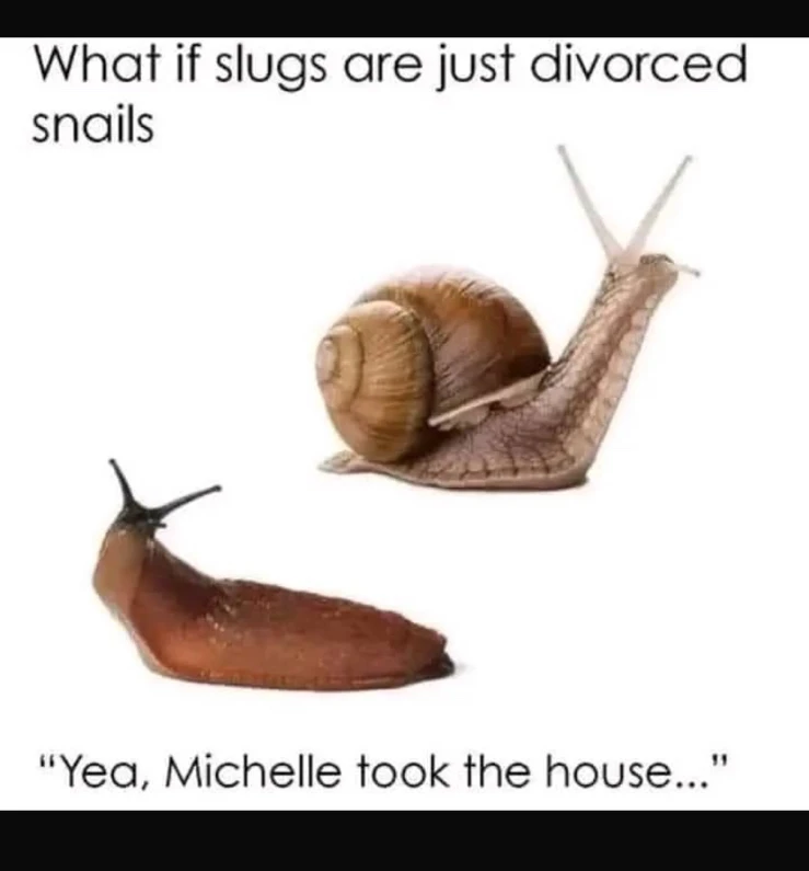 GIF uploaded by Marty