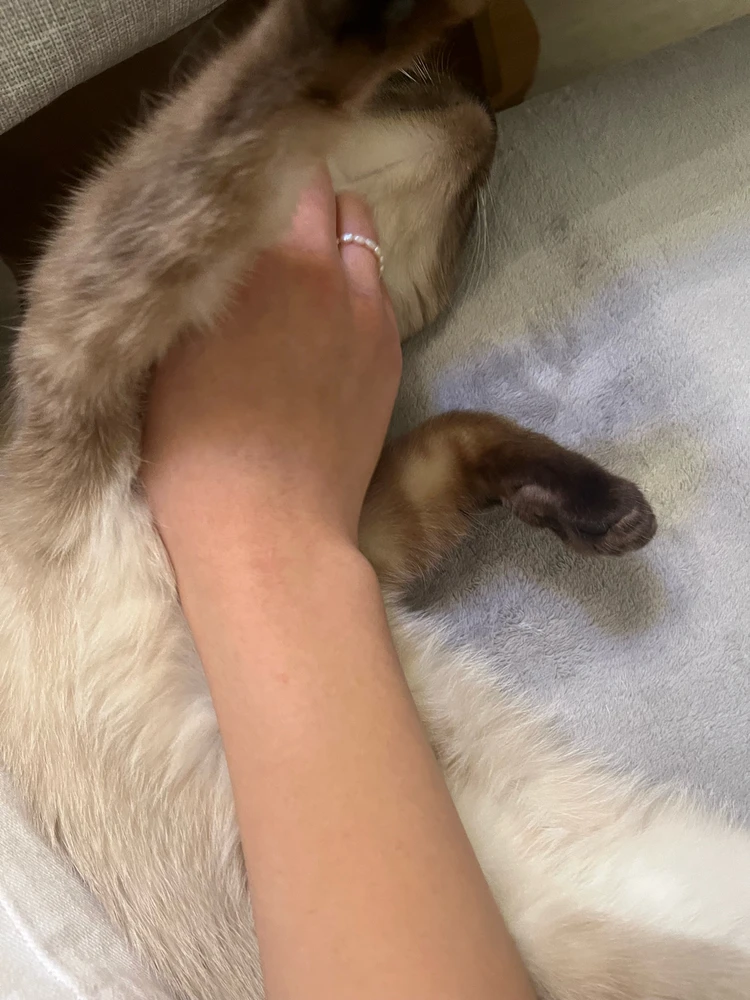 Image uploaded by Eva