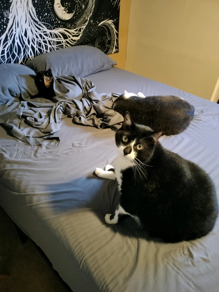 GIF uploaded by Anthony