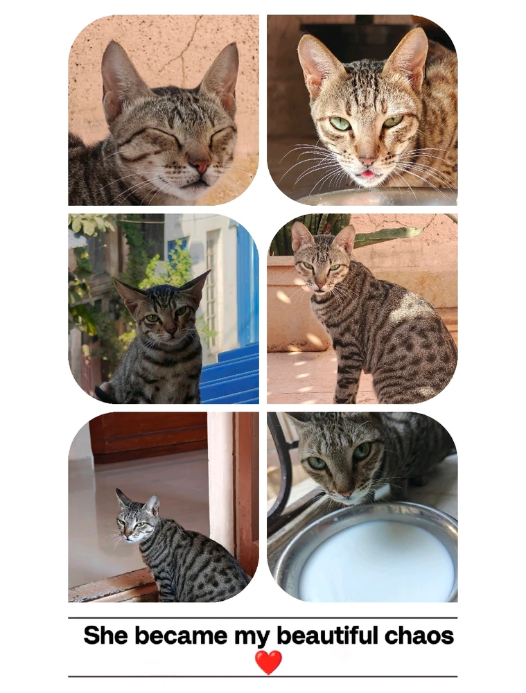 GIF uploaded by Mayank karnavat