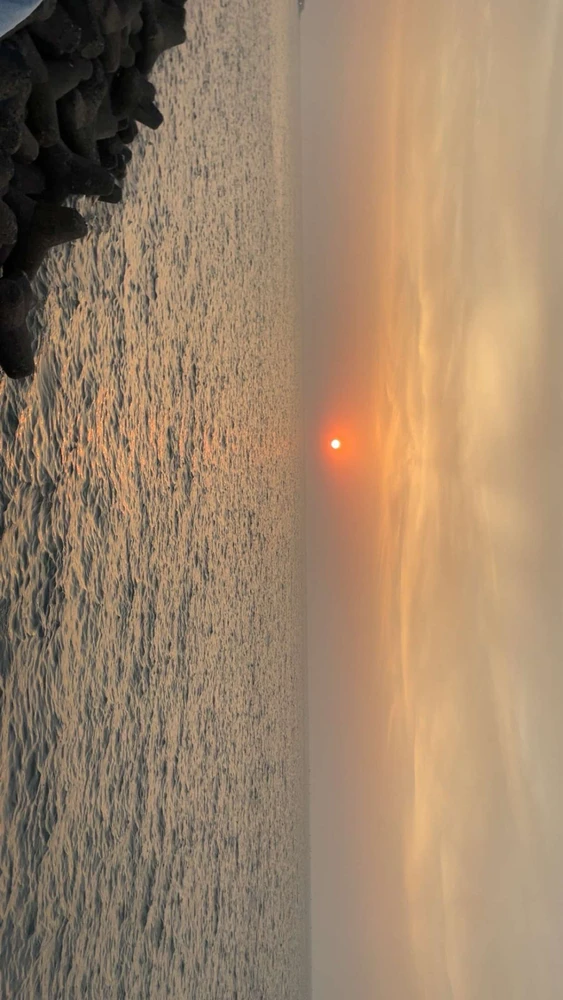 Image uploaded by Rishi