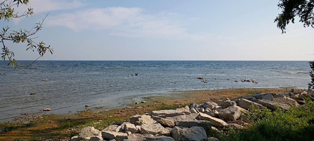 Gambar diunggah dening Cody