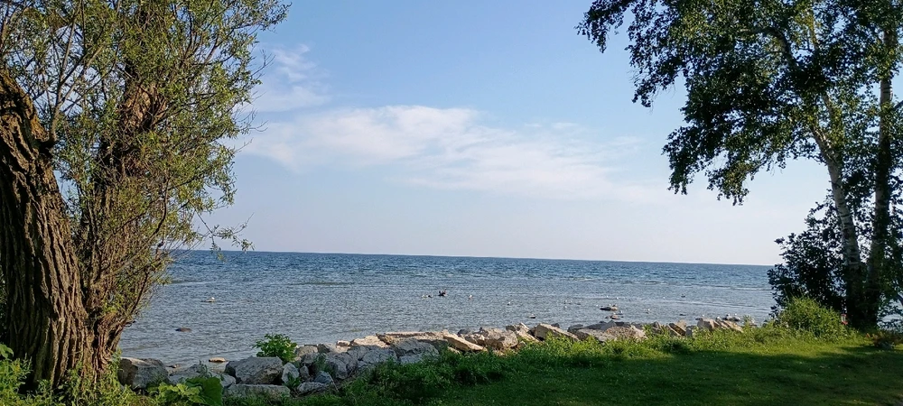 Gambar diunggah dening Cody