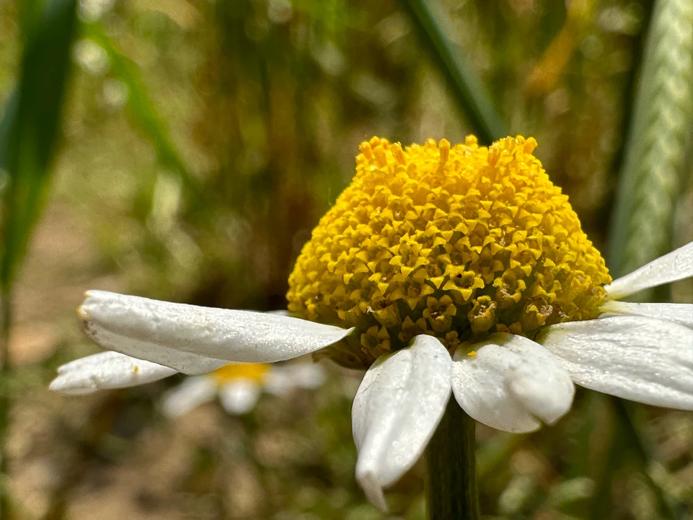 Image uploaded by Michele