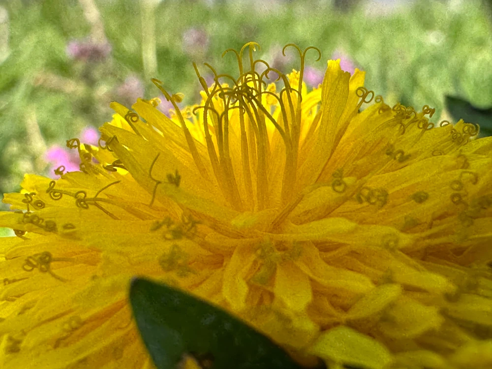 Image uploaded by Michele