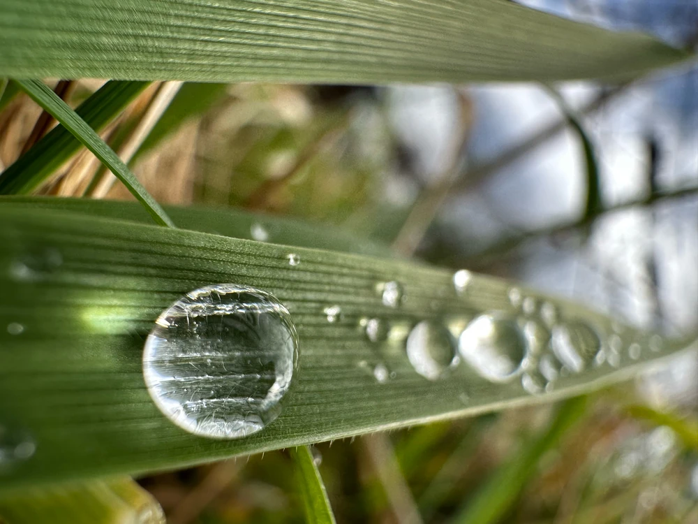 Image uploaded by Michele