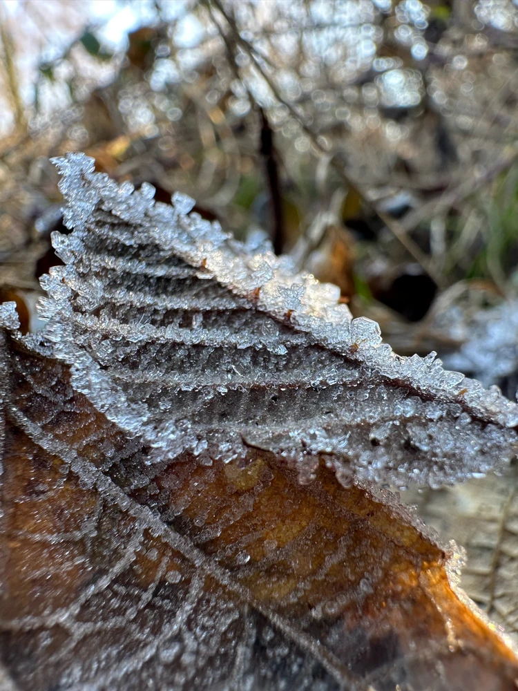 Image uploaded by Michele