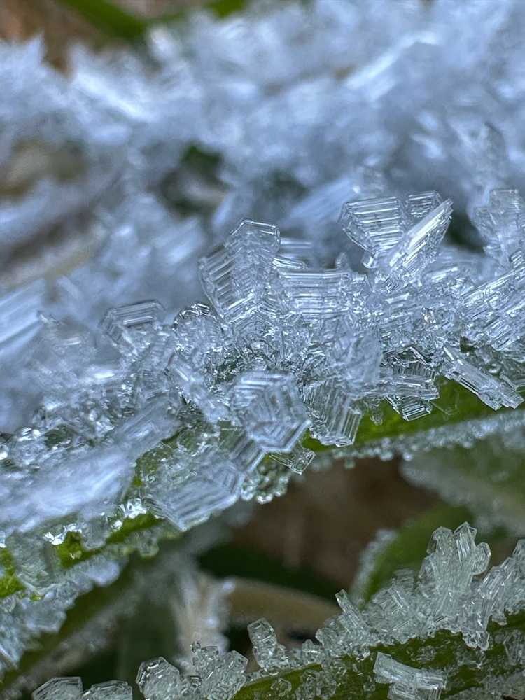 Image uploaded by Michele